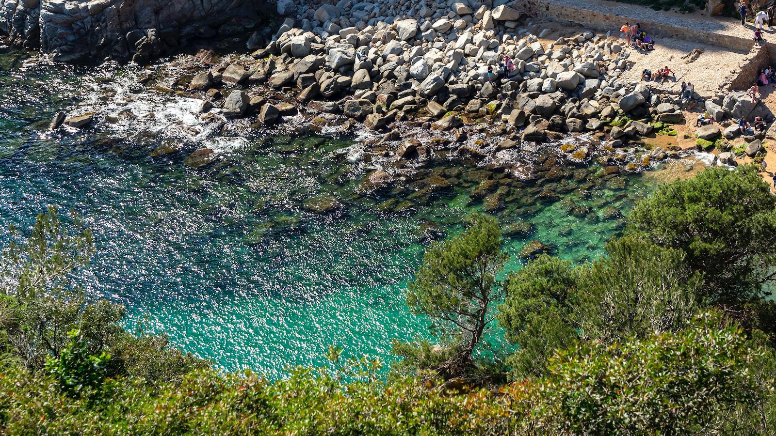 Beneficios y Usos del Agua de Mar: Descubre cómo aprovecharlo en tu‌ vida diaria | Griselda Donatucci